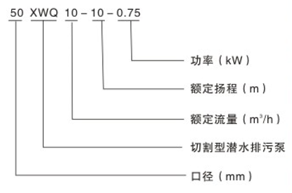 图片14