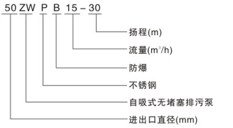 图片19